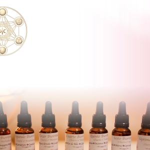 SEGUNDO PRODUCTO SECCIÓN PRUEBAS